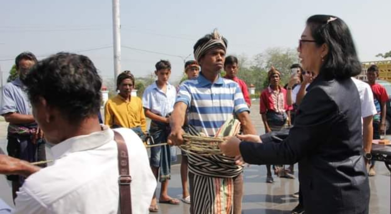 Pemkab Sumba Barat Gelontorkan 14 Kuda Pasola untuk Warga! Dukung Tradisi, Kembangkan Pariwisata. (Detik Sumba/Prokopim SB)