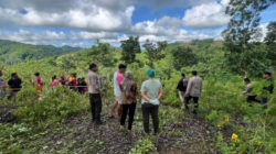 Heboh Penemuan Mayat Perempuan di Kebun, Polres Sumba Barat Kumpul Barang Bukti