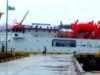 Gawat, Calo, Menggila, Pelabuhan, Waikelo, Tiket, Dijual, Harga, Selangit, SBD, NTT