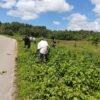 Babinsa, Walakaka, Warga, Kabukarudi Kerja Bakti, Bersihkan Jalan, Semak Liar