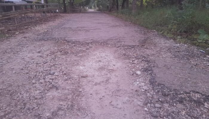 Akses Jalan Rusak Parah di Tana Righu, Aktivis GMNI Semprot Pemerintah: Seharusnya Ada Perhatian Khusus