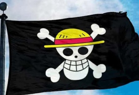 Presiden, Prabowo Subianto Tak Permasalahkan, Pengibaran Bendera, One Piece , Ekspresi Kreativitas