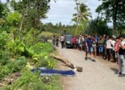 Gegara Diejek, Pria, Wewewa Barat, Diduga, Habisi Nyawa, Tetangganya